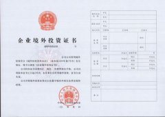 企业要办理境外投资备案需要哪些审批手续？